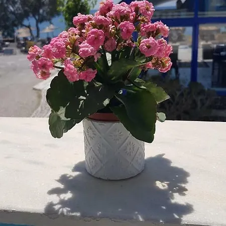 Stavros Hotel Perivolos (Santorini)