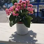 Stavros Hotel Perivolos (Santorini)